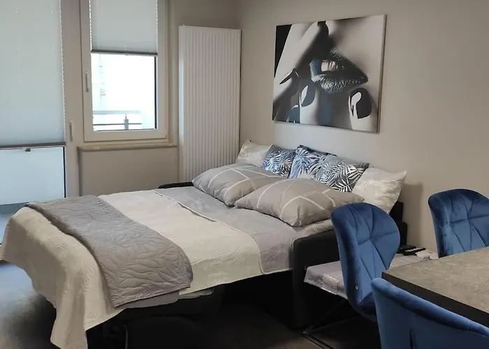 Nowoczesny Apartament W Poblizu Centrum